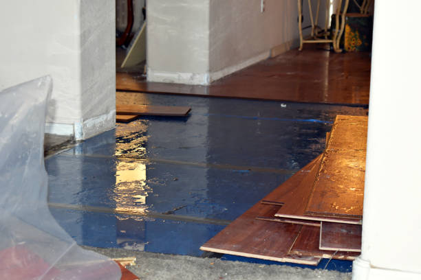 Professional Burst Pipe Cleanup technician working in Metaline Falls, WA